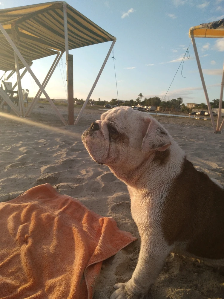 Image uploaded by Eliana