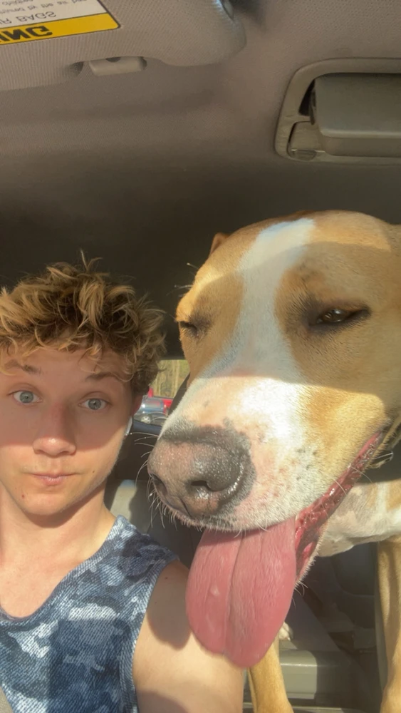 Image uploaded by Blake
