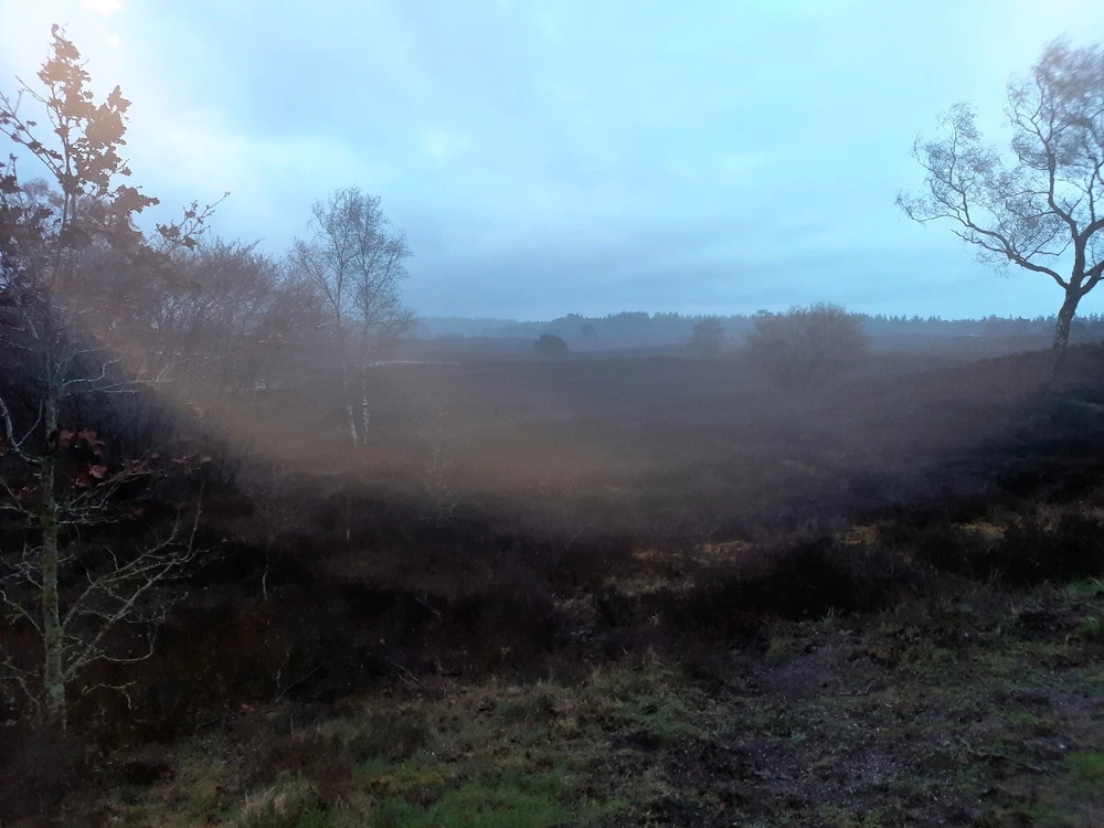 Afbeelding geüpload door Nina