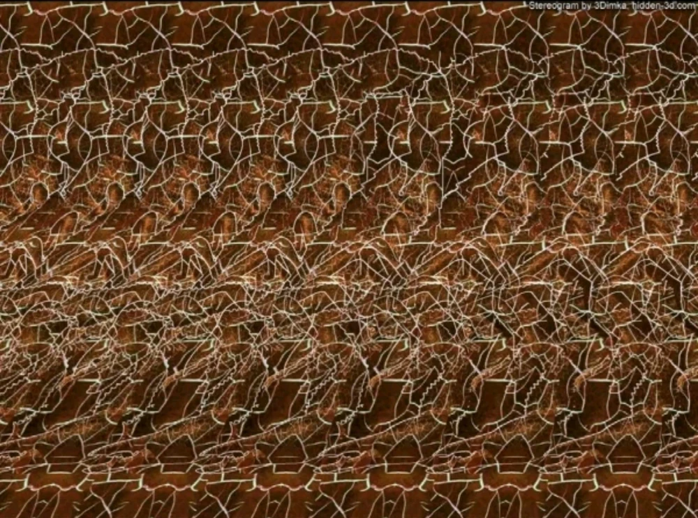 Image uploaded by Aaron