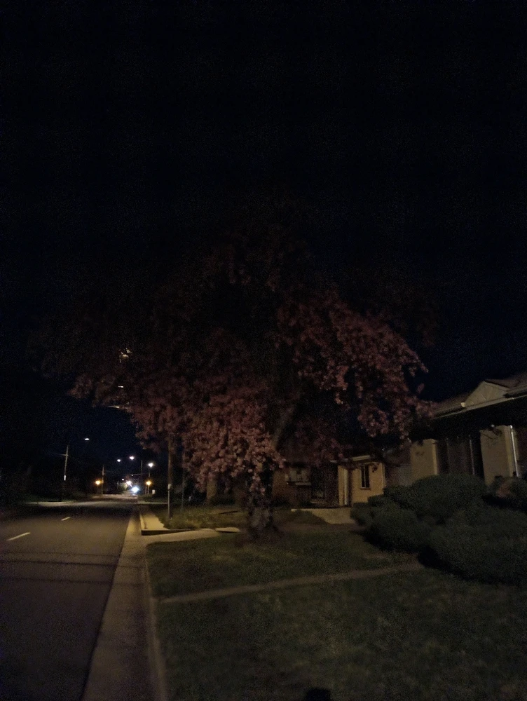 Image uploaded by Ti