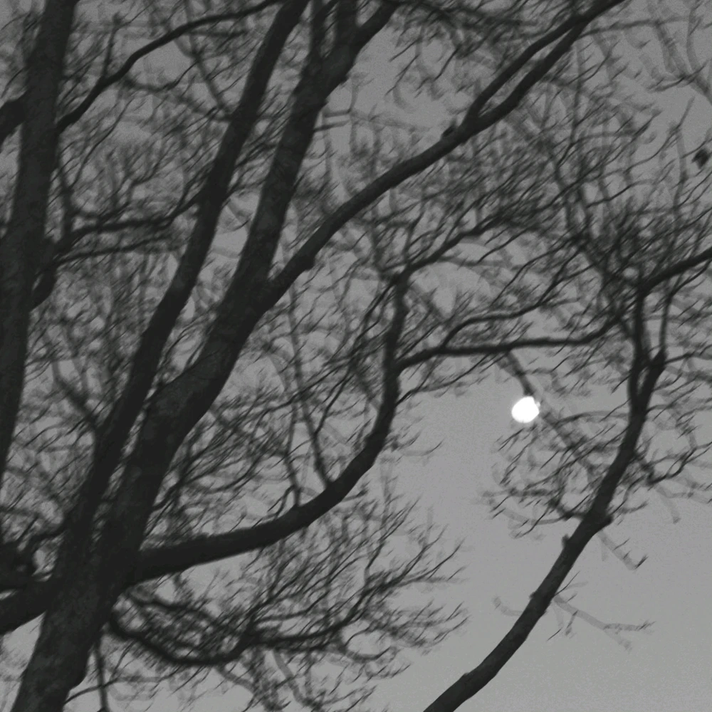 Gambar diunggah dening Chris