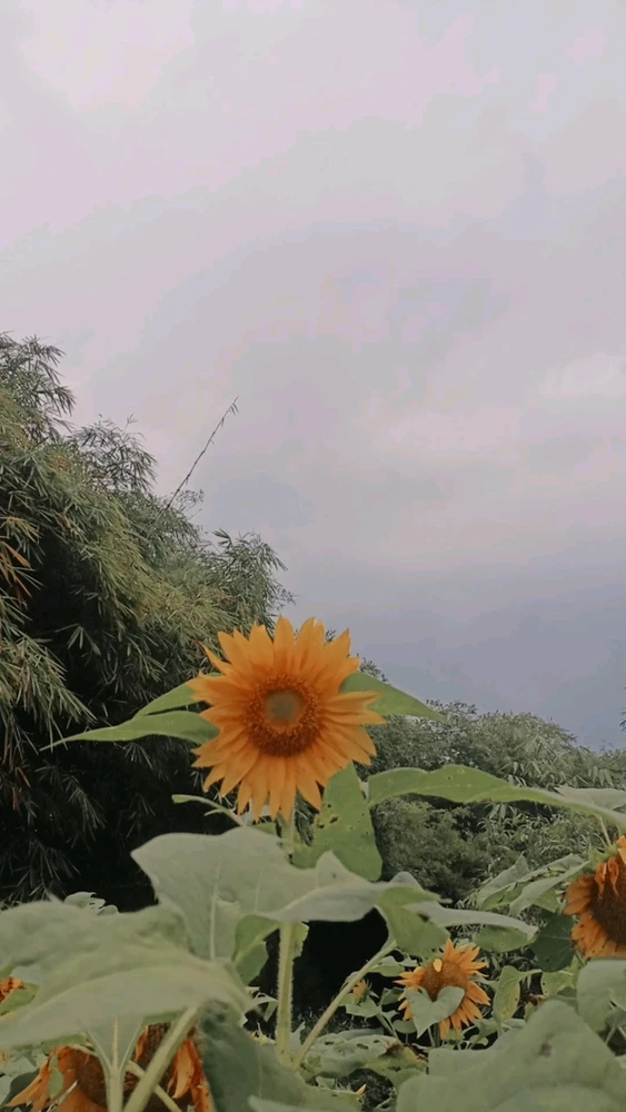 ItsMe上傳的圖片