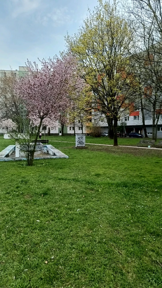 I-upload ni Vladislav Efimov ang larawan