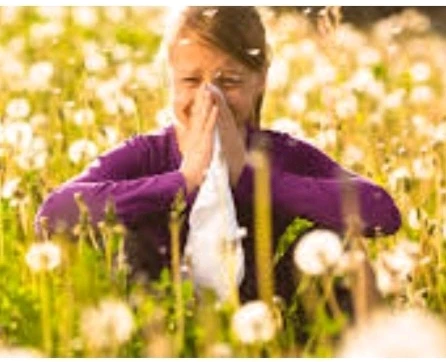 Image ajoutée par Laetitia