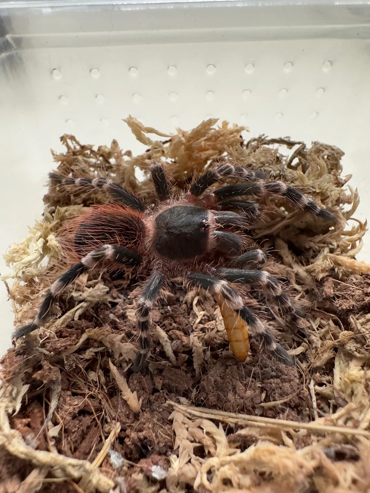 Image uploaded by Илия