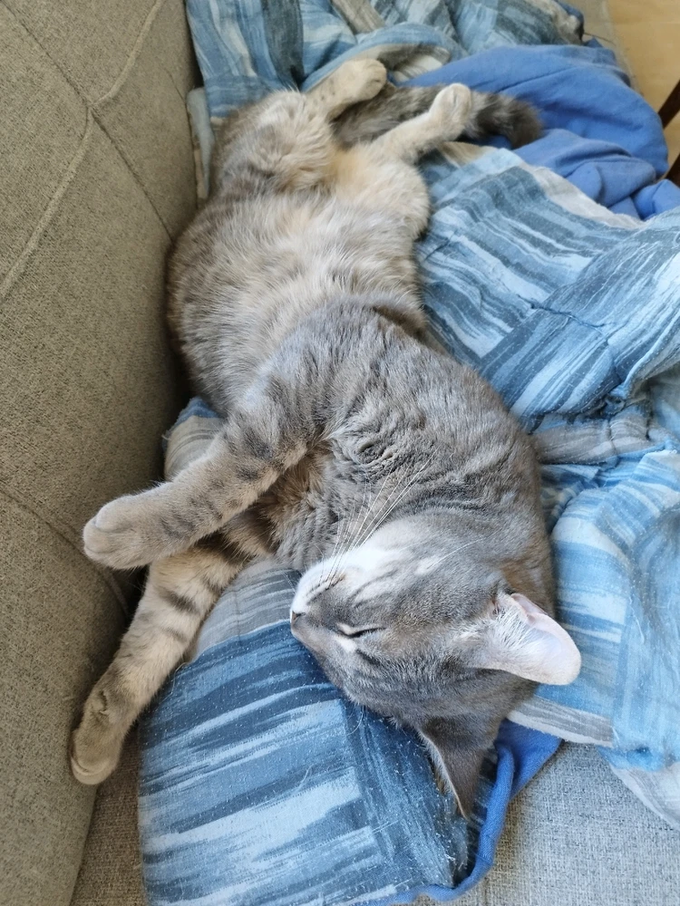 Image uploaded by Pablo