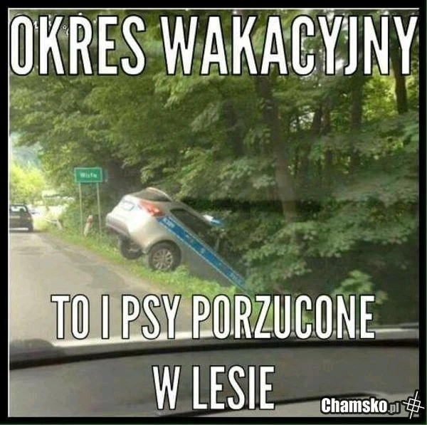 Zdjęcie dodane przez Agnes