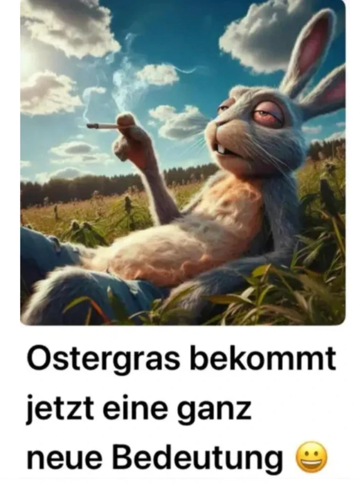 Bild hochgeladen von Simon