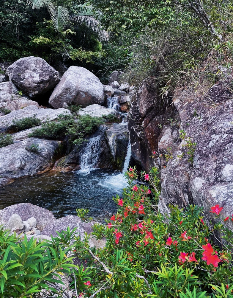 Image uploaded by Yee