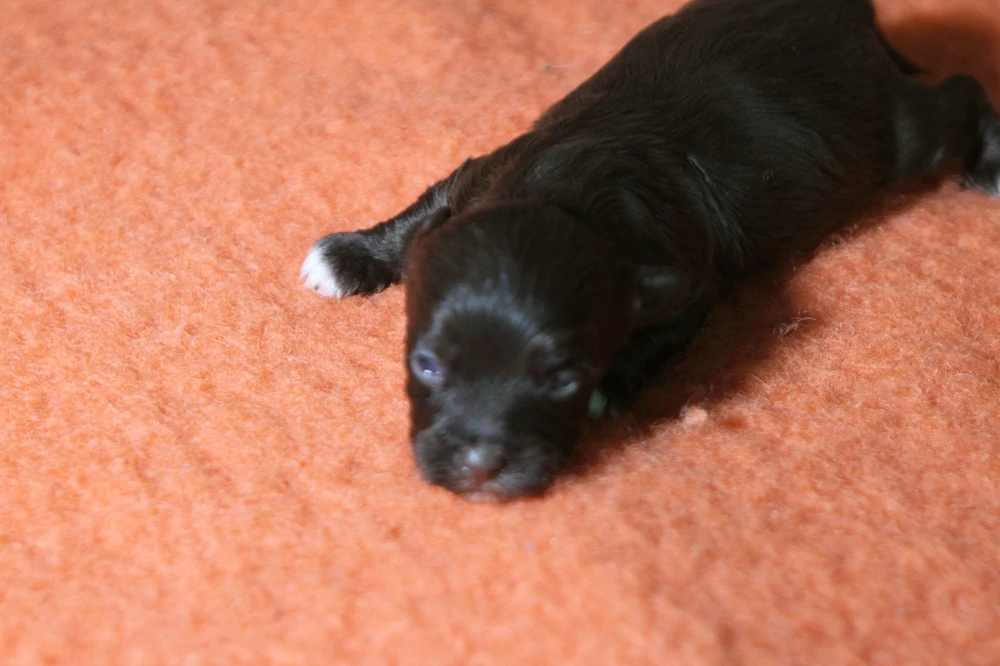 Image uploaded by Pavlo