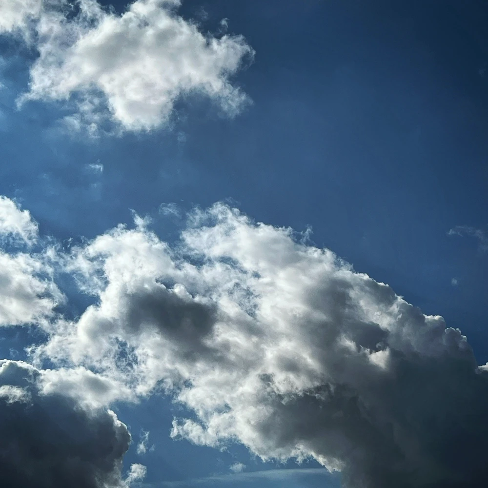 Immagine caricata da Luca