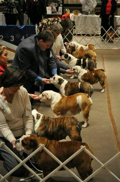 Image uploaded by Chris