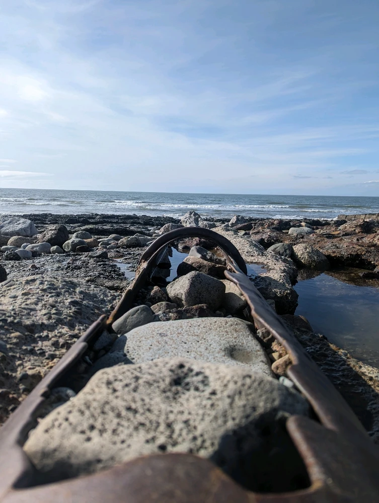 Image uploaded by Stacey