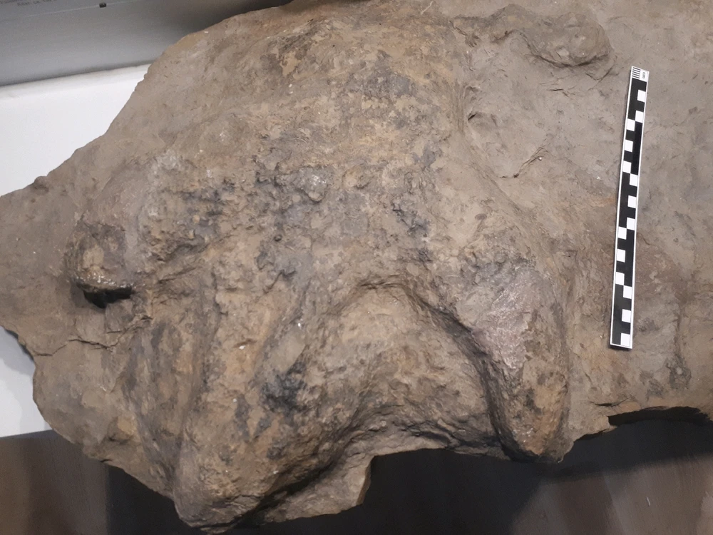 Bild hochgeladen von Herbert = ᚺᛖᚱᛒᛖᚱᛏ