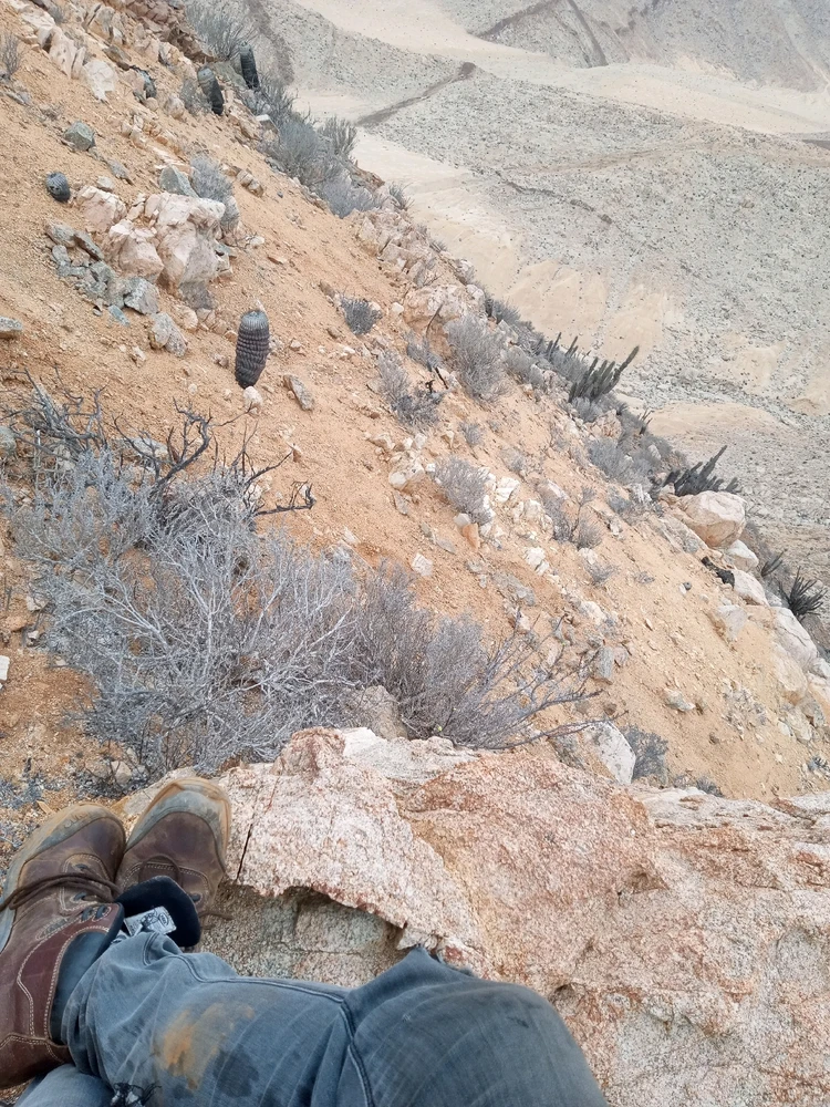 Imagen subida por Roderick