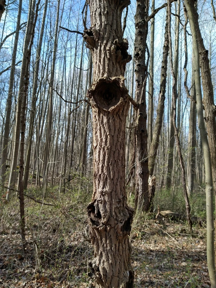 Image uploaded by Airy