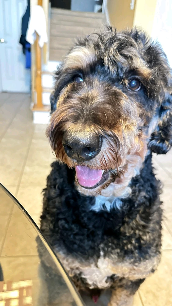 Gambar diunggah dening Chris