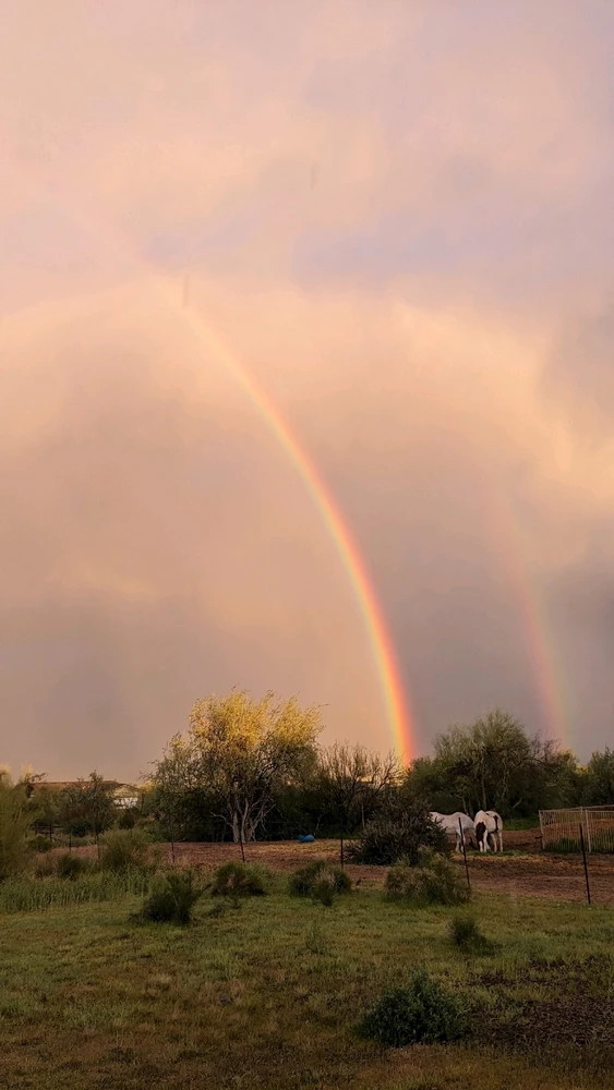 Image uploaded by Daniel