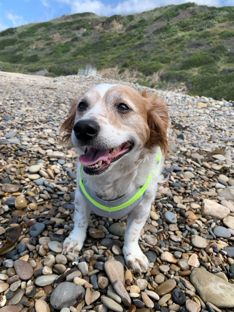 Image uploaded by Rosie