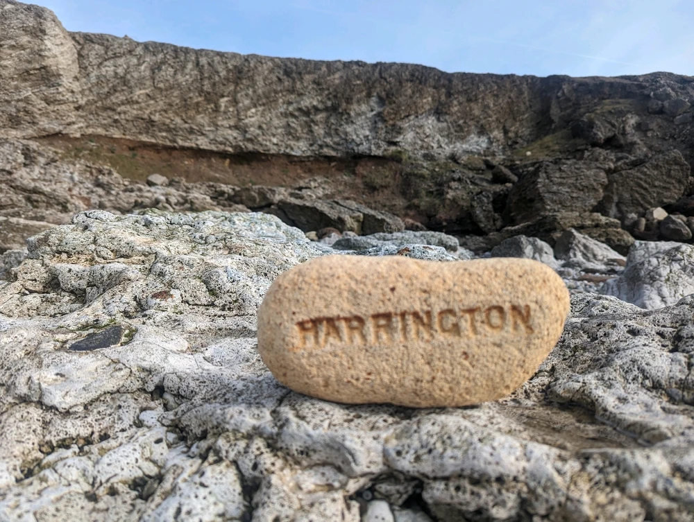 Image uploaded by Stacey