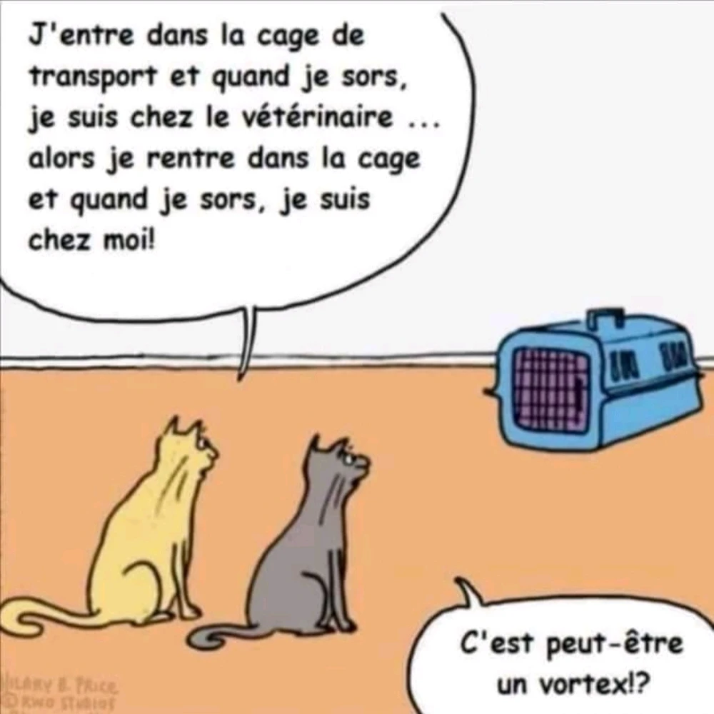 Image ajoutée par Noëline