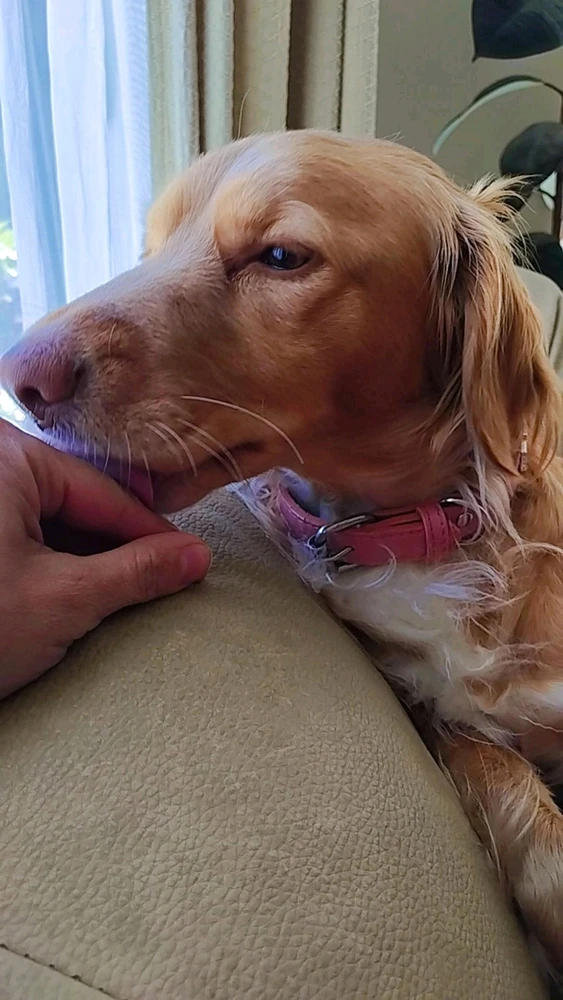 Imagen subida por Roxan