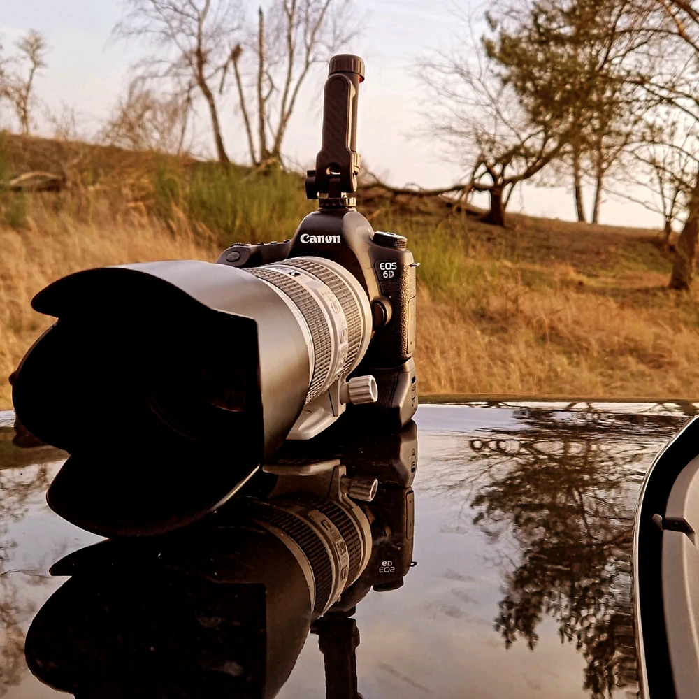 Bild hochgeladen von Phil