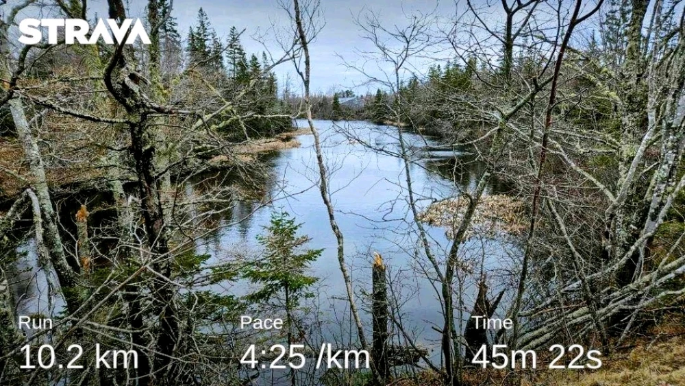 10.2km, 4:25/km pictured a lake in the background in early spring 