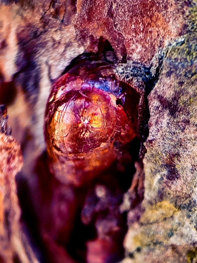 Фото загрузил Николай