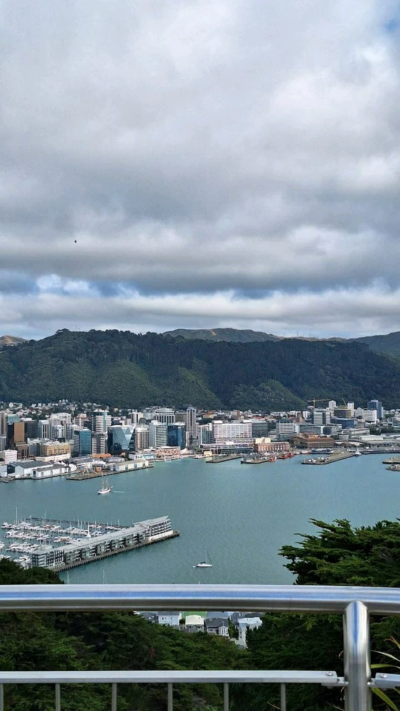 View from Mt. Victoria's peak