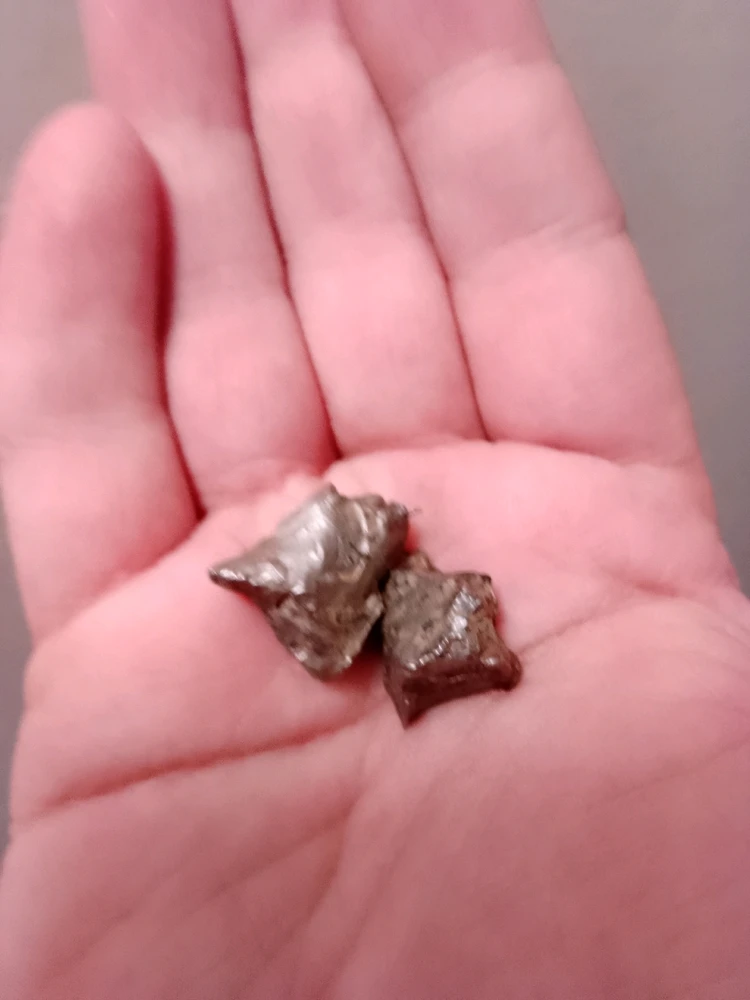 由Katlyne上传的图片