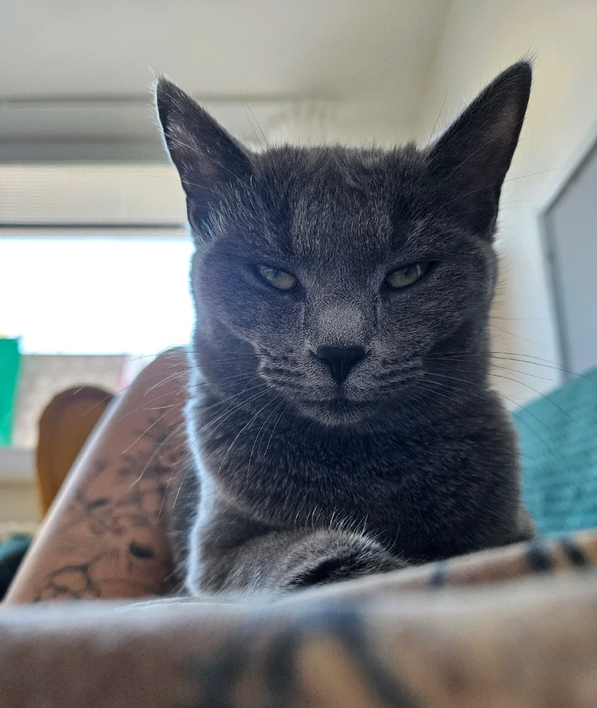 Obrázek nahrál Monika