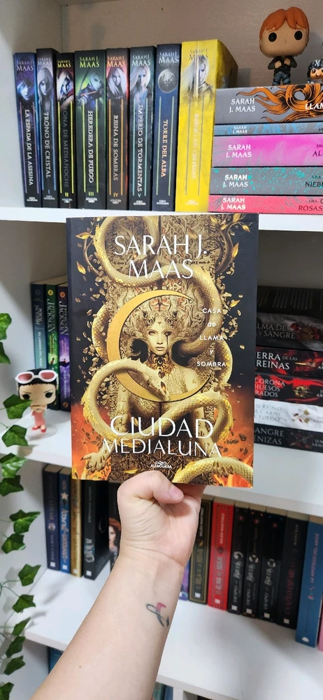 Porfin puedo leer el tercer libro de Ciudad Medialuna ✨️