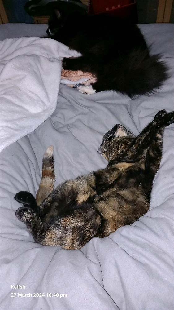 Gambar diunggah dening Keith