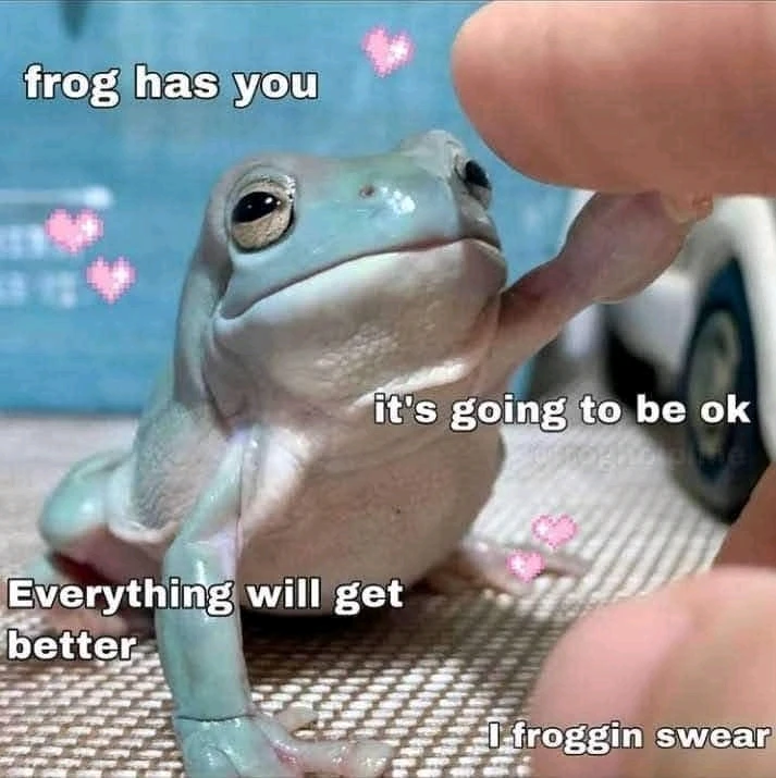 Nuotrauką įkėlė Donatas