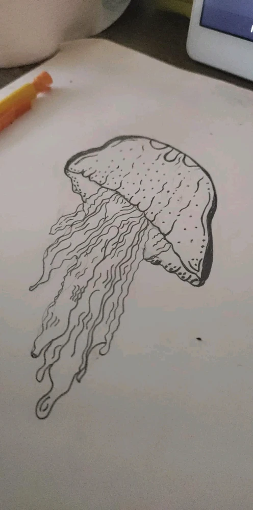Image uploaded by Brooke