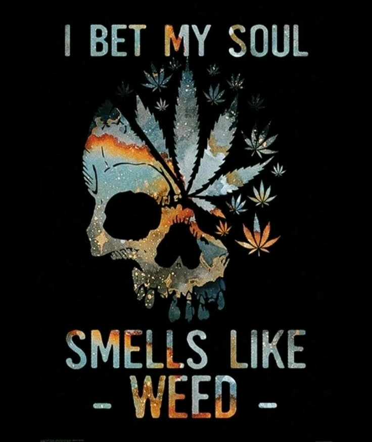 Niyas അപ്ലോഡ് ചെയ്ത ചിത്രം