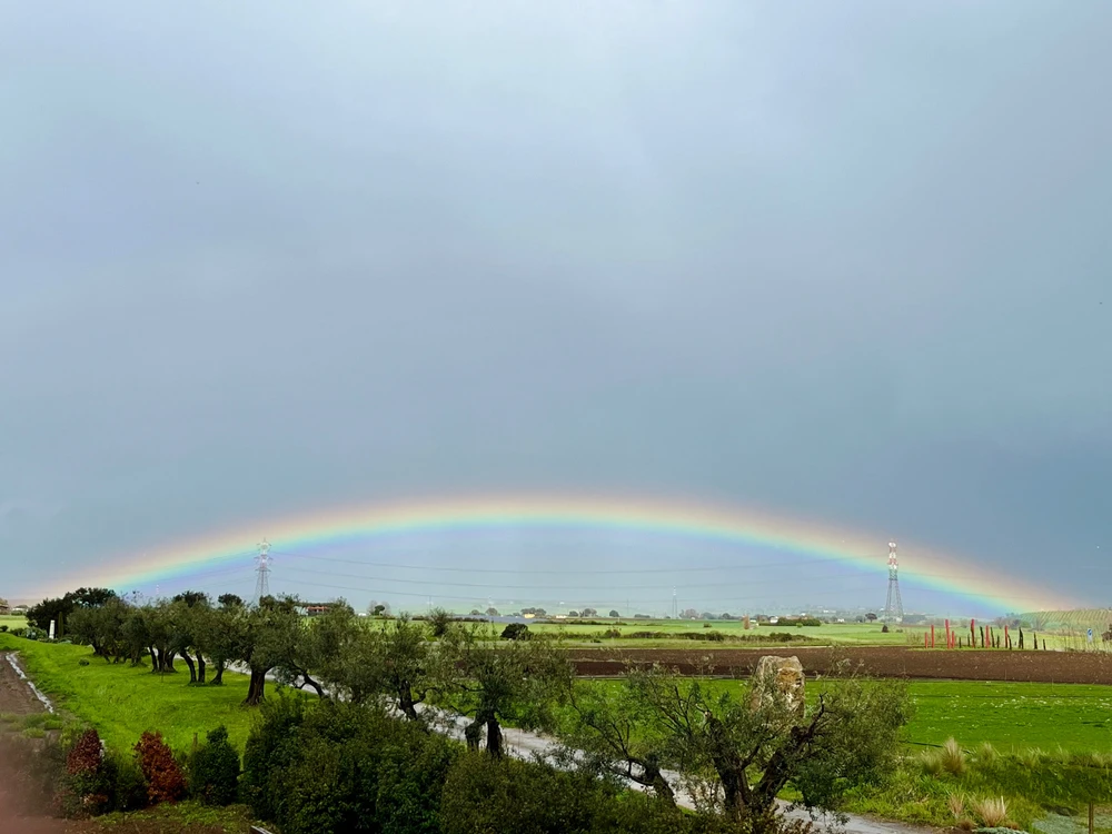 Immagine caricata da Matteo