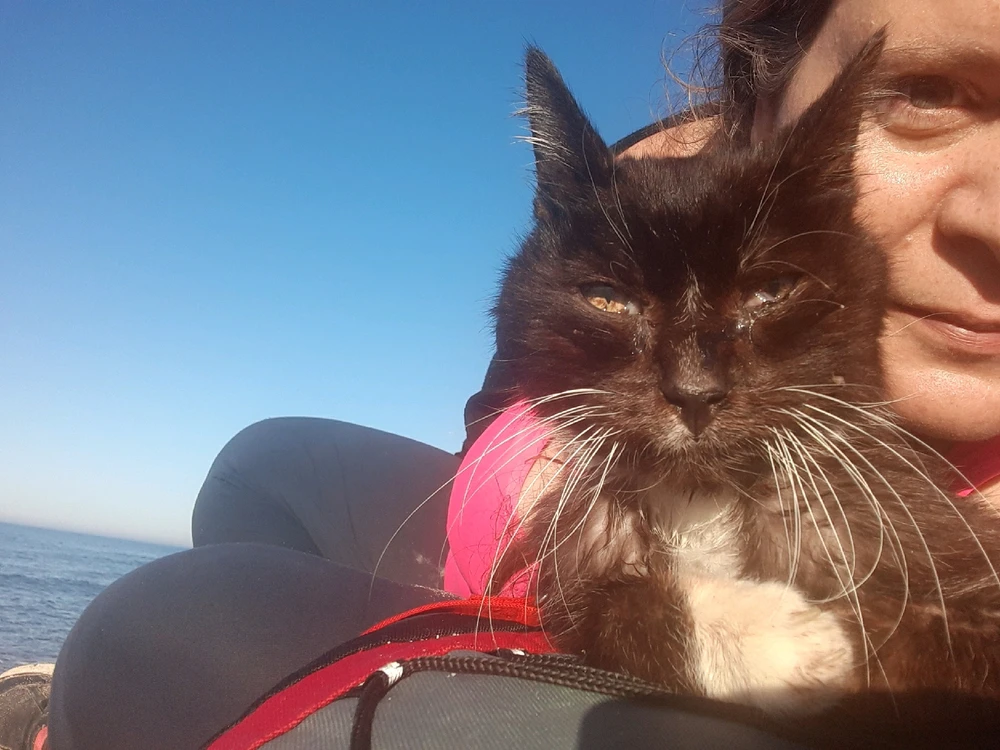 Image ajoutée par Sandra