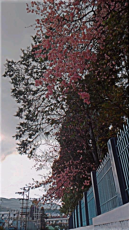 Image ajoutée par Trecy