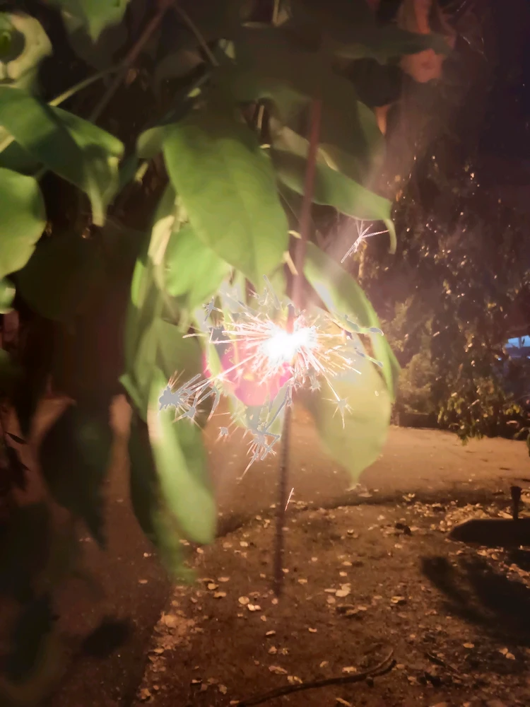 Imej dimuat naik oleh Wan