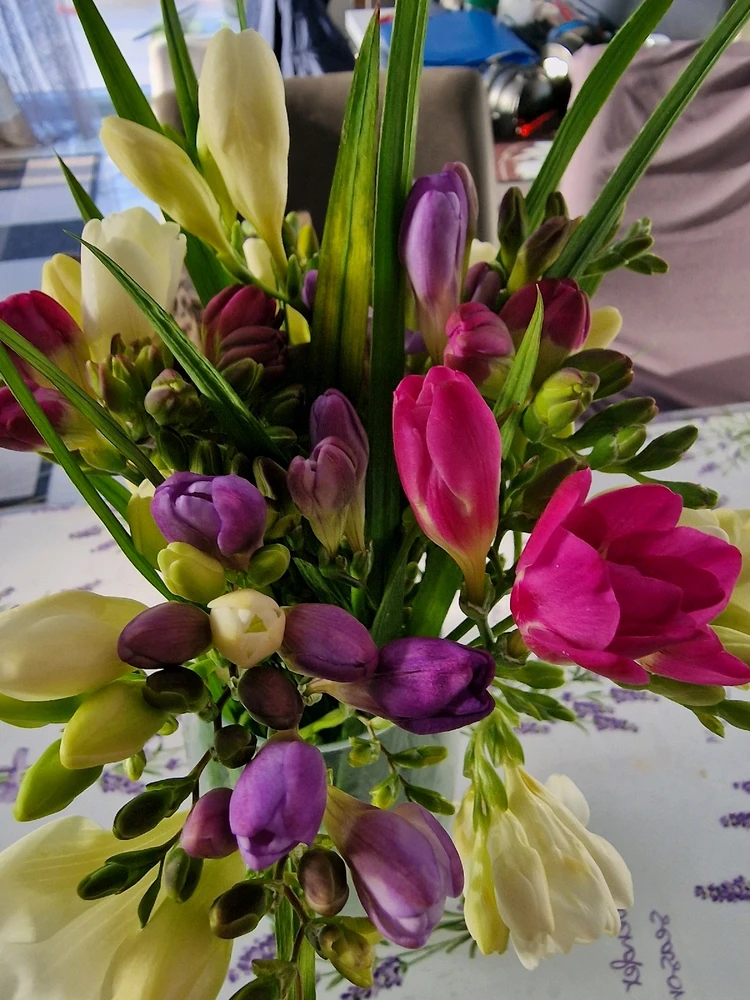 Image uploaded by Mare