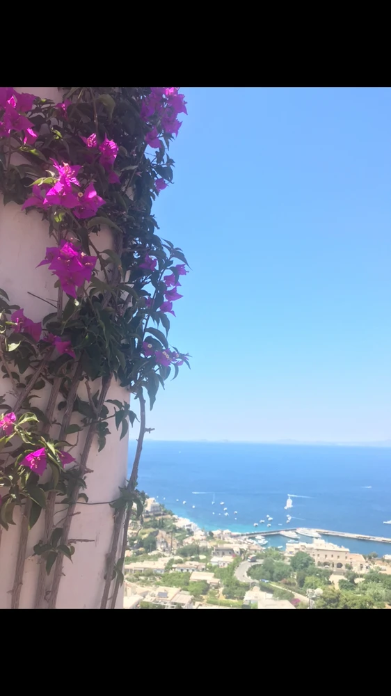 Picture taken in Italy of flowers growing on a column, overlooking the coast line of the Island of Capri.