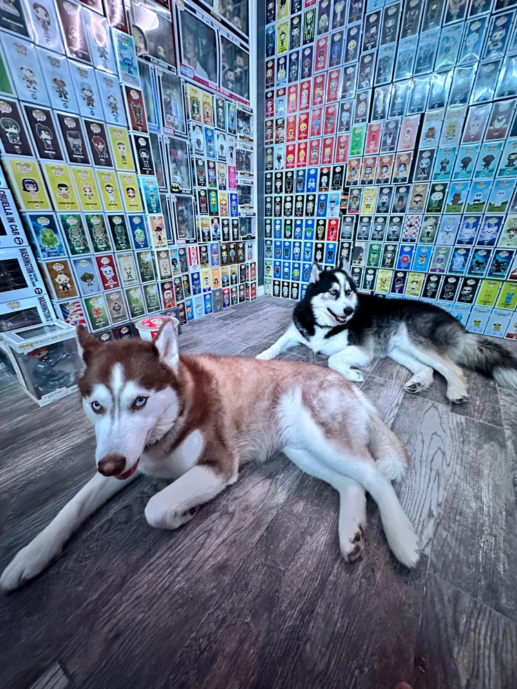 Image uploaded by Keenan