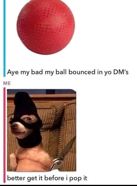 Bence által feltöltött kép