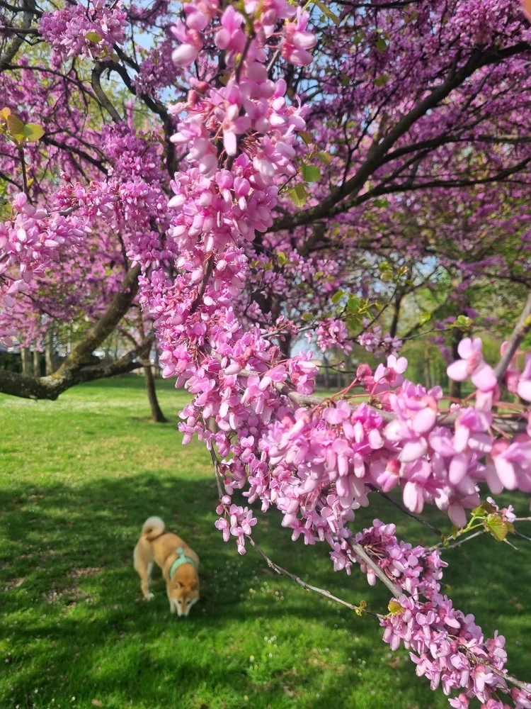 Imagen subida por Cintia