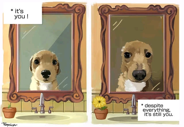 Ömer tarafından yüklenen görsel