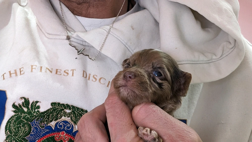 Image uploaded by Pavlo