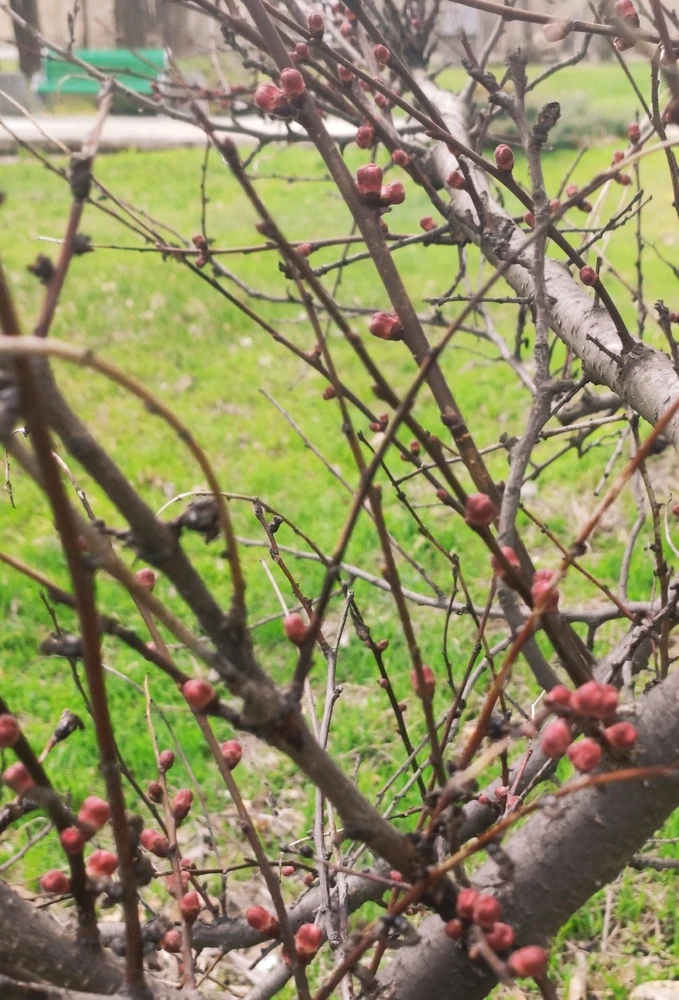 Зображення завантажив Olena